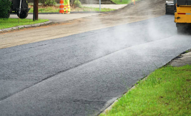 Best Local Driveway Pavers  in Mosheim, TN